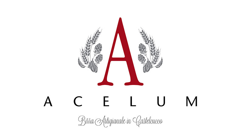 Acelum logo - Texx.it